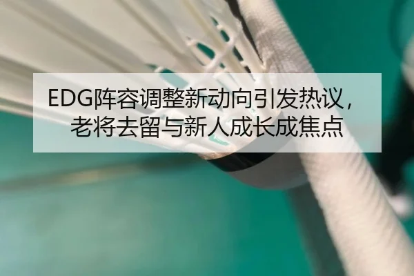 EDG阵容调整新动向引发热议，老将去留与新人成长成焦点